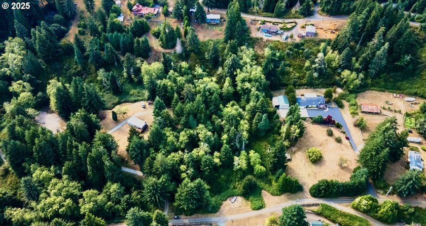 Discover the potential of this beautiful two-acre property - photo 5