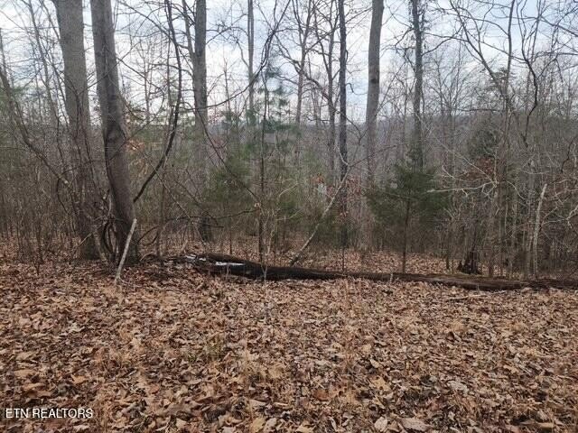 Beautiful Property, Gated Community, Lots of Amenities - photo 8