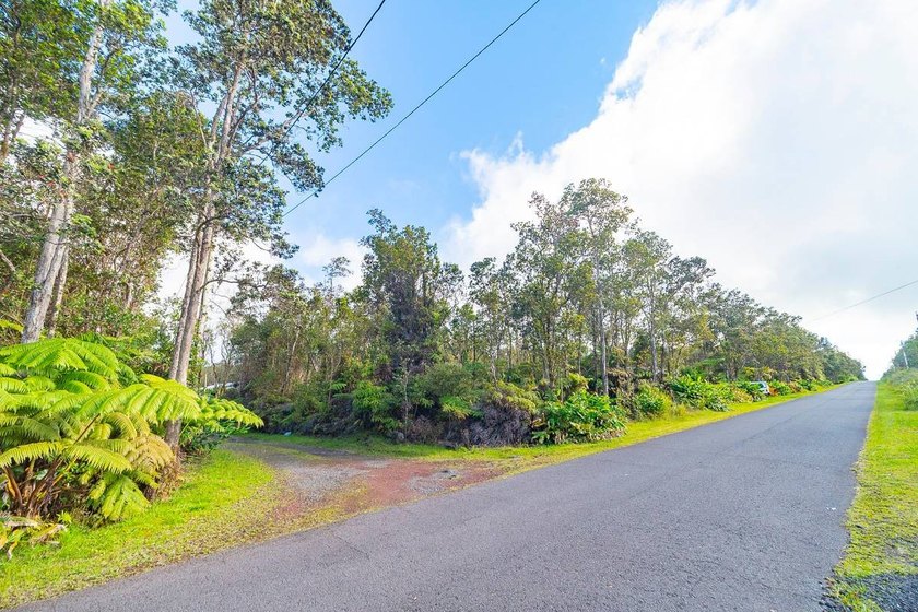 Build your dream home on this front lot lush with ginger and - photo 3