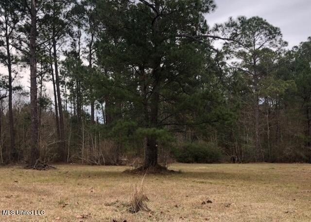 This Beautiful 3 Acre Parcel Is The Perfect Location To Build - photo 2