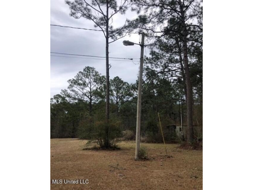 This Beautiful 3 Acre Parcel Is The Perfect Location To Build - photo 6