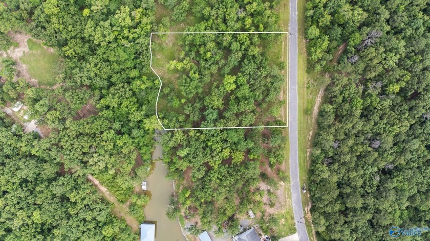 Beautiful building lot with Weiss Lake access common lot with - photo 11