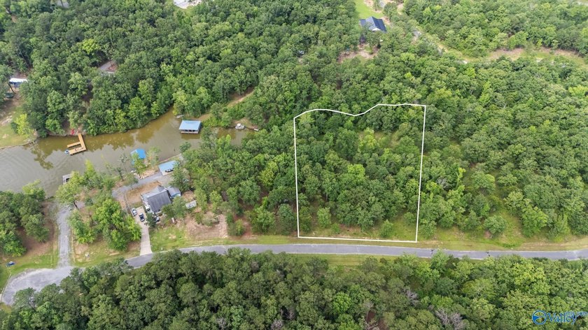 Beautiful building lot with Weiss Lake access common lot with - photo 12