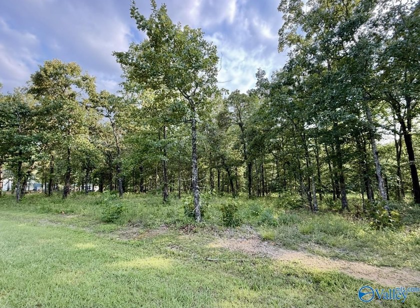 Beautiful building lot with Weiss Lake access common lot with - photo 13