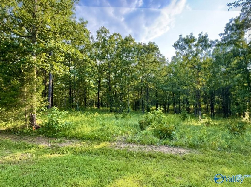 Beautiful building lot with Weiss Lake access common lot with - photo 14