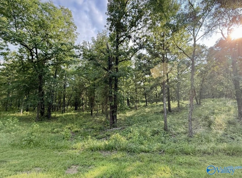 Beautiful building lot with Weiss Lake access common lot with - photo 15