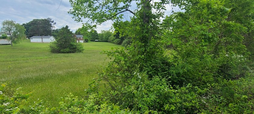 Prime Building Lot in Hardy, VA - Ideal for Your Dream Home This - photo 3