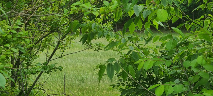 Prime Building Lot in Hardy, VA - Ideal for Your Dream Home This - photo 7