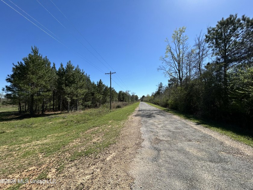 If you've been looking for a tract you can truly make your own - photo 25