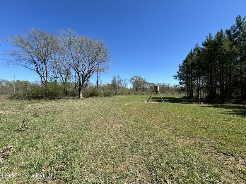 If you've been looking for a tract you can truly make your own - photo 33