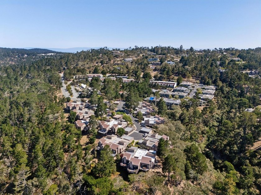 Wake up to views of the pine trees, the Santa Lucia mountains - photo 35