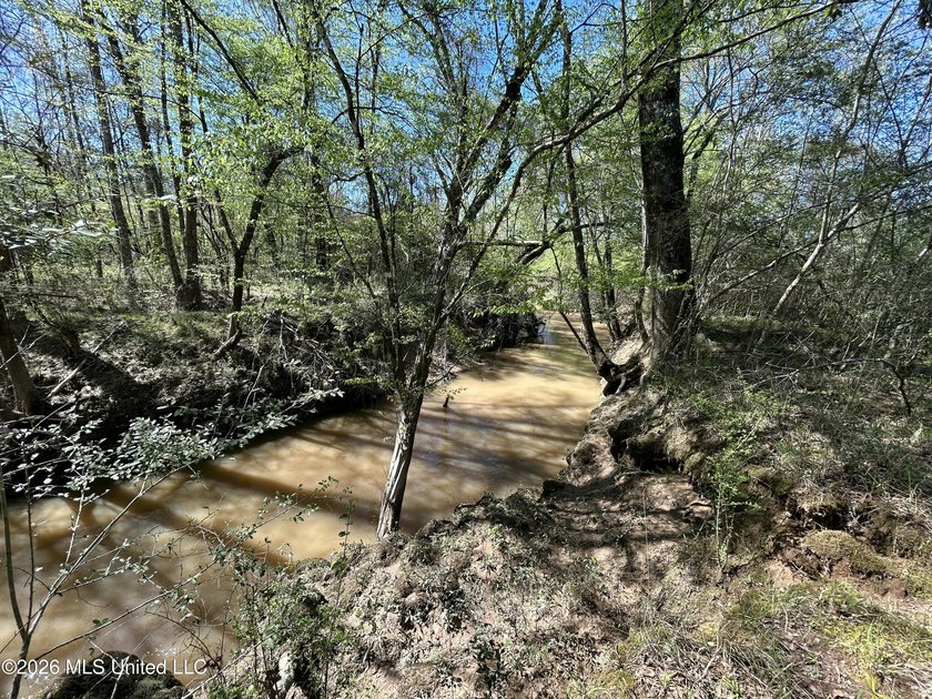 If you've been looking for a tract you can truly make your own - photo 38