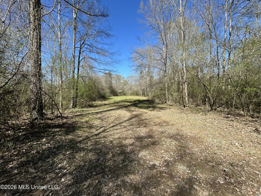 If you've been looking for a tract you can truly make your own - photo 40