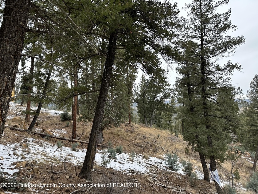 GRINDSTONE CANYON RESORT SUBD.! Lot is approx. 0.869 acre with - photo 2