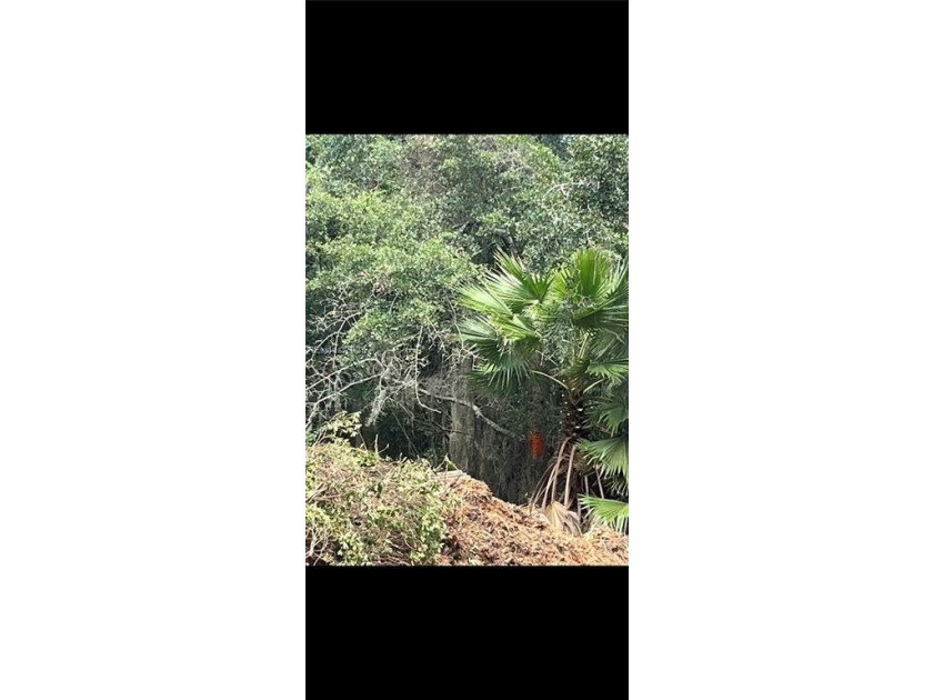 This could possibly be the last undeveloped parcel of this size - photo 4