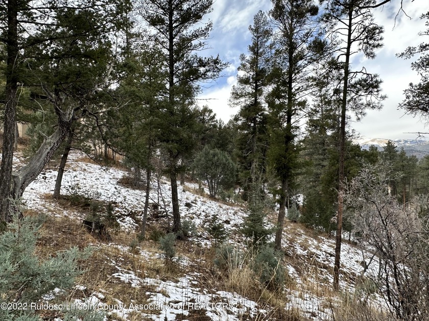 GRINDSTONE CANYON RESORT SUBD.! Lot is approx. 0.407 acre with - photo 2
