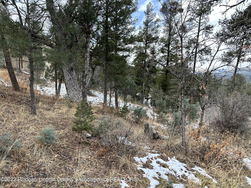 GRINDSTONE CANYON RESORT SUBD.! Lot is approx. 0.407 acre with - photo 3