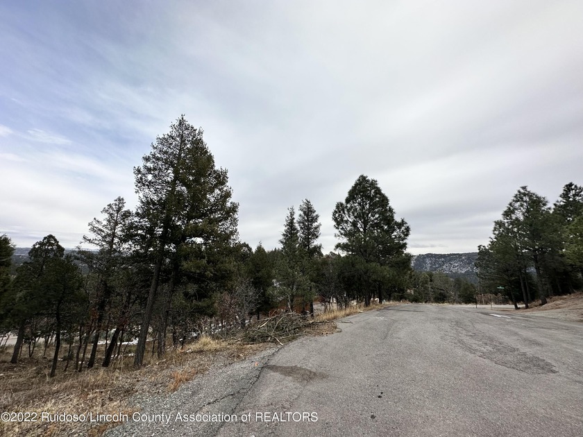 GRINDSTONE CANYON RESORT SUBD.! Lot is approx. 0.407 acre with - photo 4