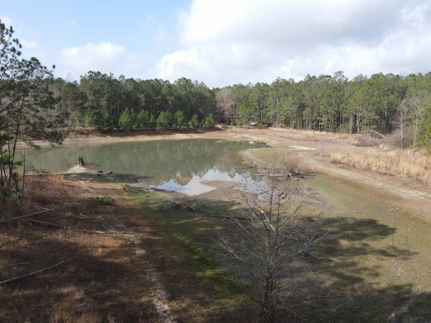 Beautiful land for sale in Poplarville, Ms. 30 acres mostly - photo 13