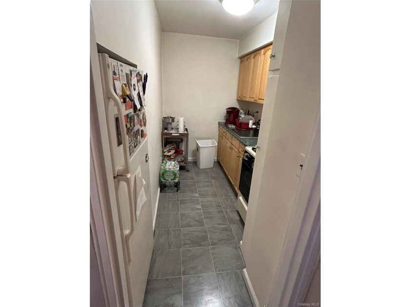 Welcome to this bright and spacious 1 bedroom, 1 bath co-op - photo 8