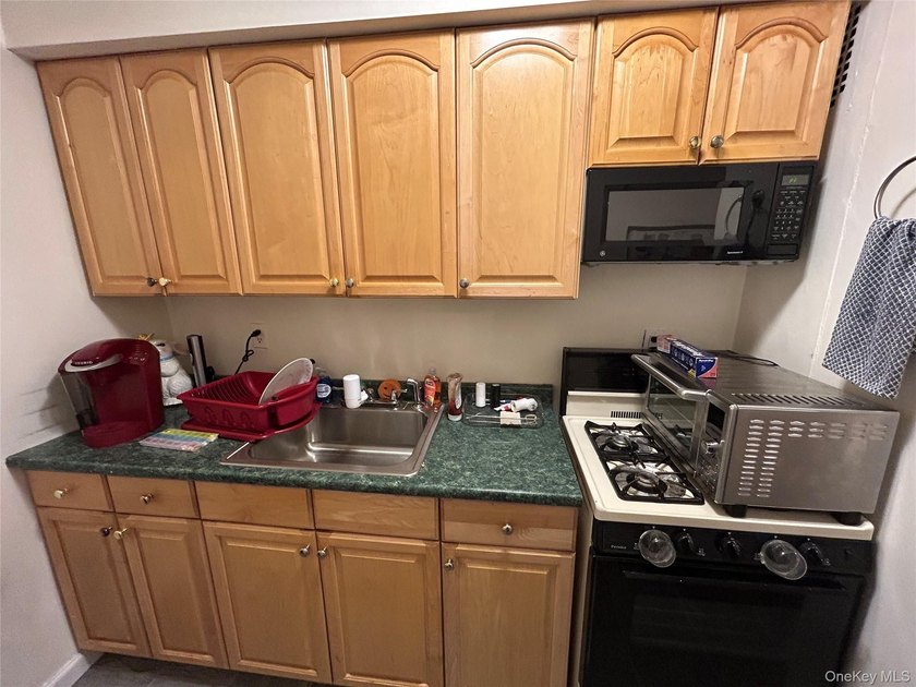 Welcome to this bright and spacious 1 bedroom, 1 bath co-op - photo 9