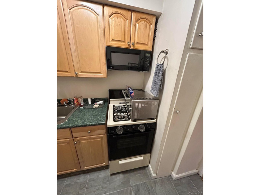 Welcome to this bright and spacious 1 bedroom, 1 bath co-op - photo 10