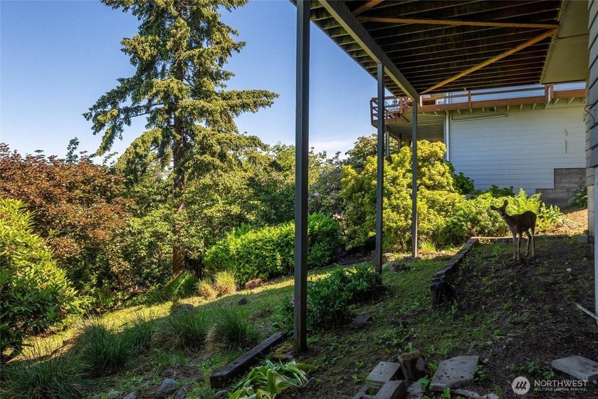 Perched on a quiet South Hill lane, this timeless Mid-Century - photo 29