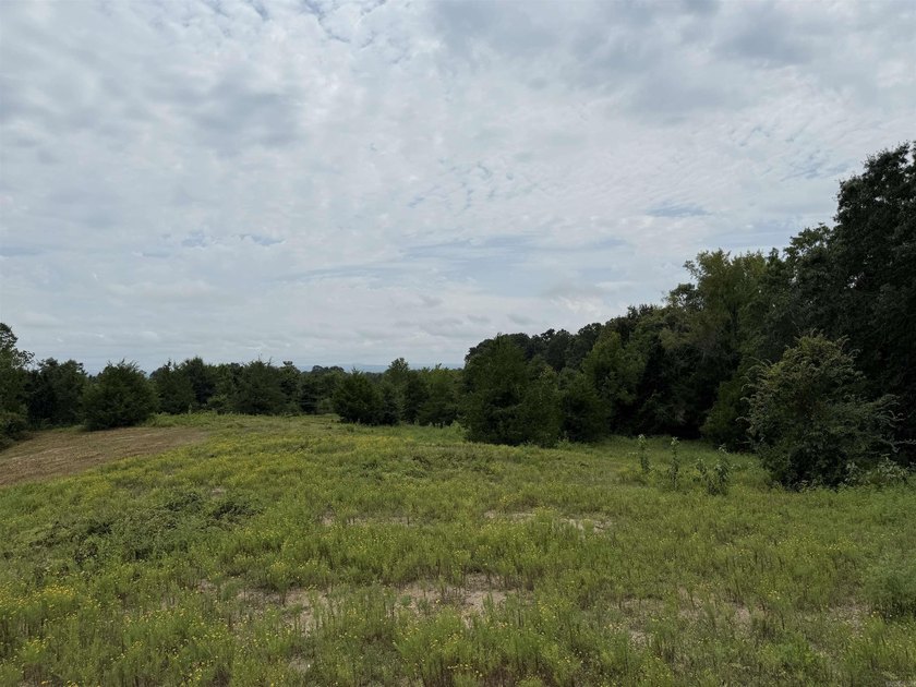 Beautiful 10+/- acre parcel located just outside of Mena near - photo 5