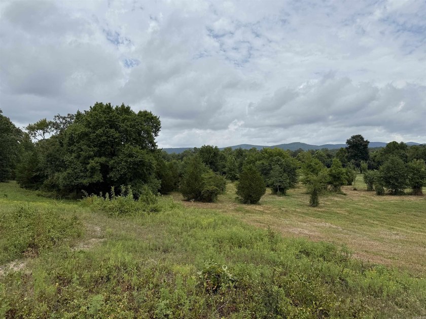 Beautiful 10+/- acre parcel located just outside of Mena near - photo 7