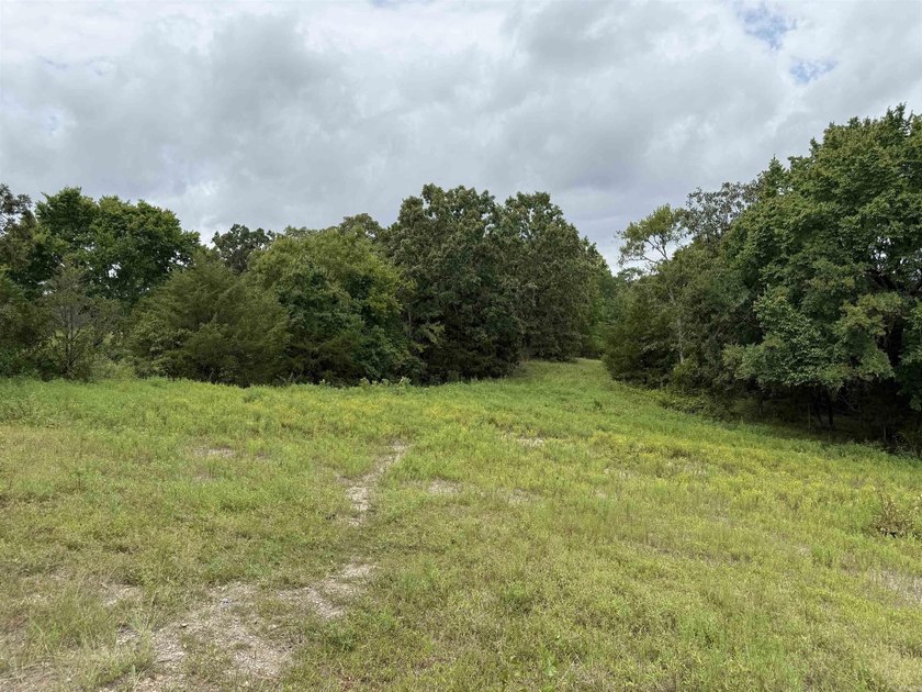 Beautiful 10+/- acre parcel located just outside of Mena near - photo 8