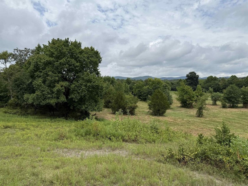 Beautiful 10+/- acre parcel located just outside of Mena near - photo 9