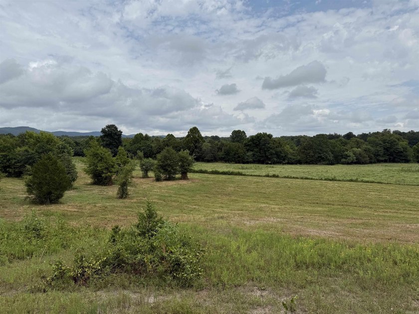 Beautiful 10+/- acre parcel located just outside of Mena near - photo 10