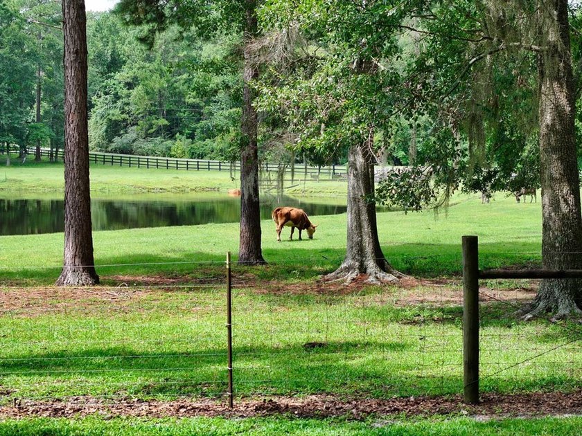 Welcome to your dream mini farm-a rare opportunity to own 42 +- - photo 8