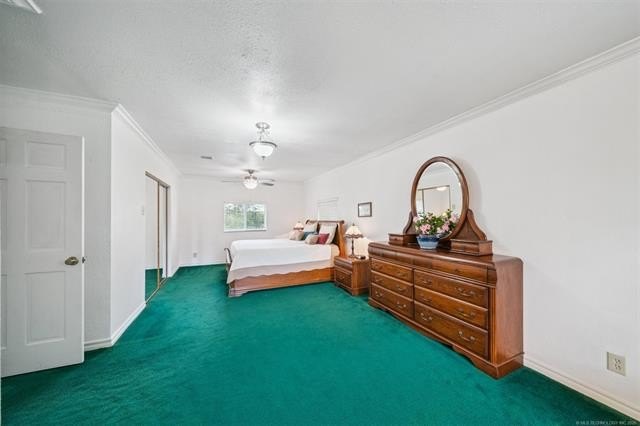 Beautiful 1 owner home on well groomed acreage complete with - photo 18