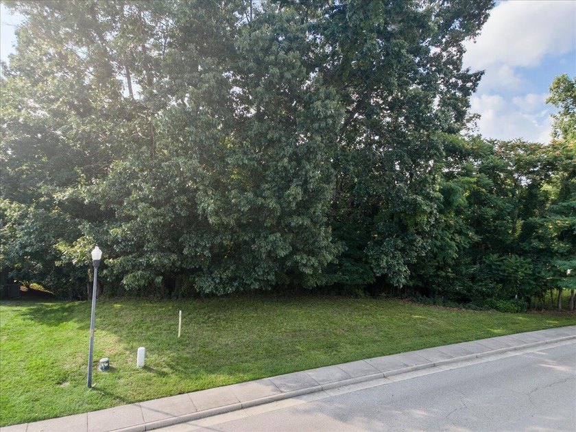 Discover the perfect setting for your dream home in the - photo 2