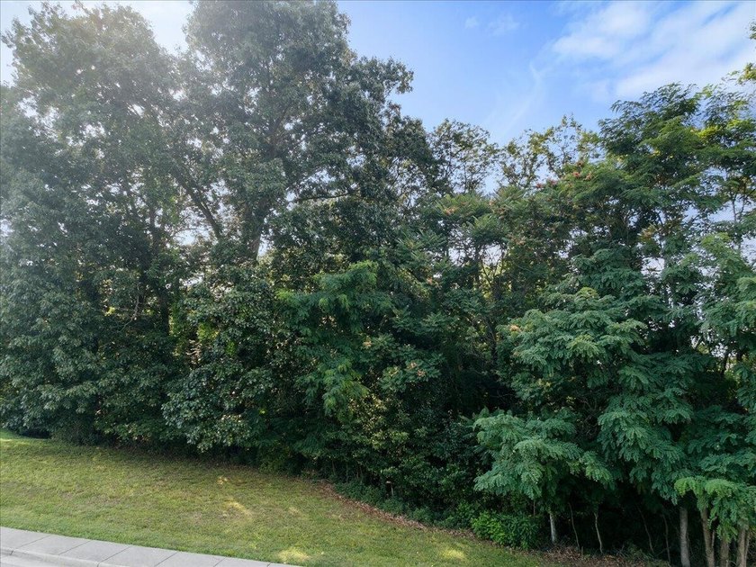 Discover the perfect setting for your dream home in the - photo 4