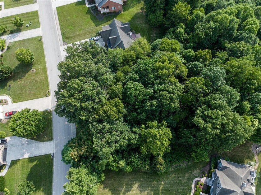 Discover the perfect setting for your dream home in the - photo 5
