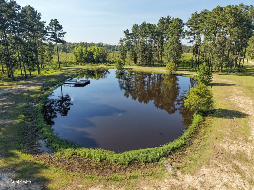 Home with a massive shop, two ponds, and plenty of privacy - photo 11