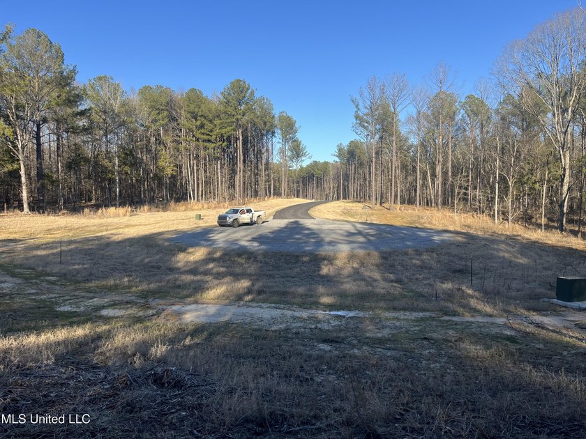 Welcome to Springwood Trail, come experience this new lakefront - photo 16