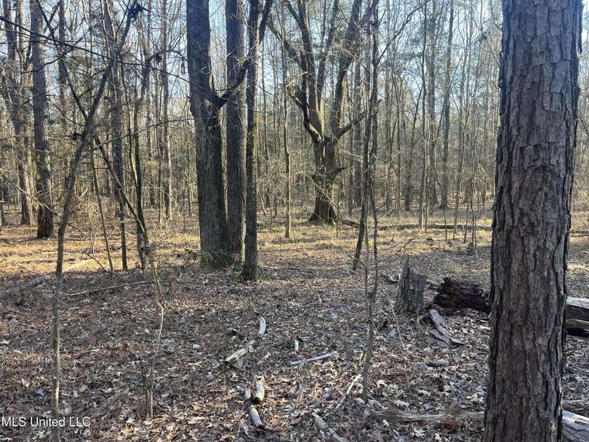 Welcome to Springwood Trail, come experience this new lakefront - photo 19