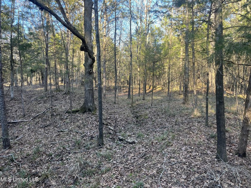 Welcome to Springwood Trail, come experience this new lakefront - photo 21