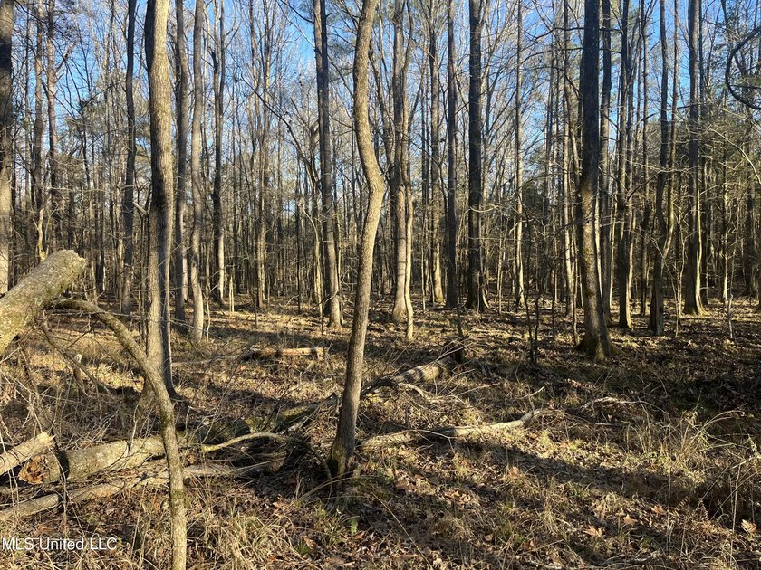 Welcome to Springwood Trail, come experience this new lakefront - photo 23