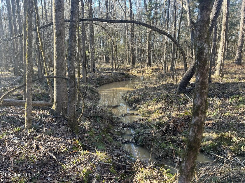Welcome to Springwood Trail, come experience this new lakefront - photo 24