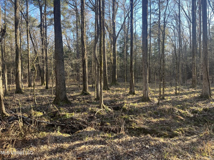 Welcome to Springwood Trail, come experience this new lakefront - photo 25
