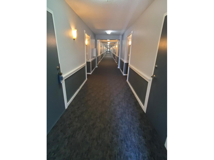 Beautiful peaceful courtyard view. Two bedroom /Two bath first - photo 25