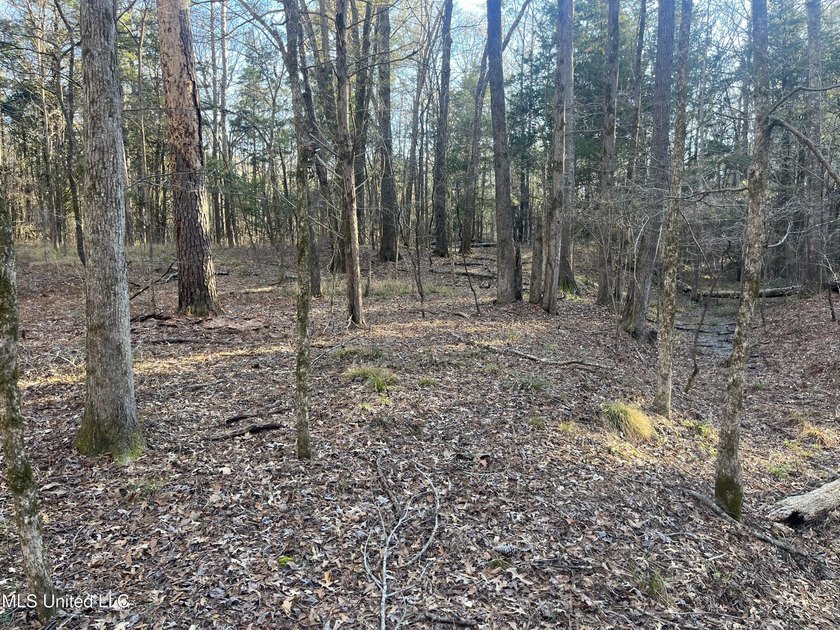 Welcome to Springwood Trail, come experience this new lakefront - photo 26