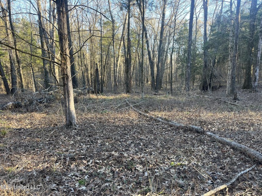 Welcome to Springwood Trail, come experience this new lakefront - photo 33