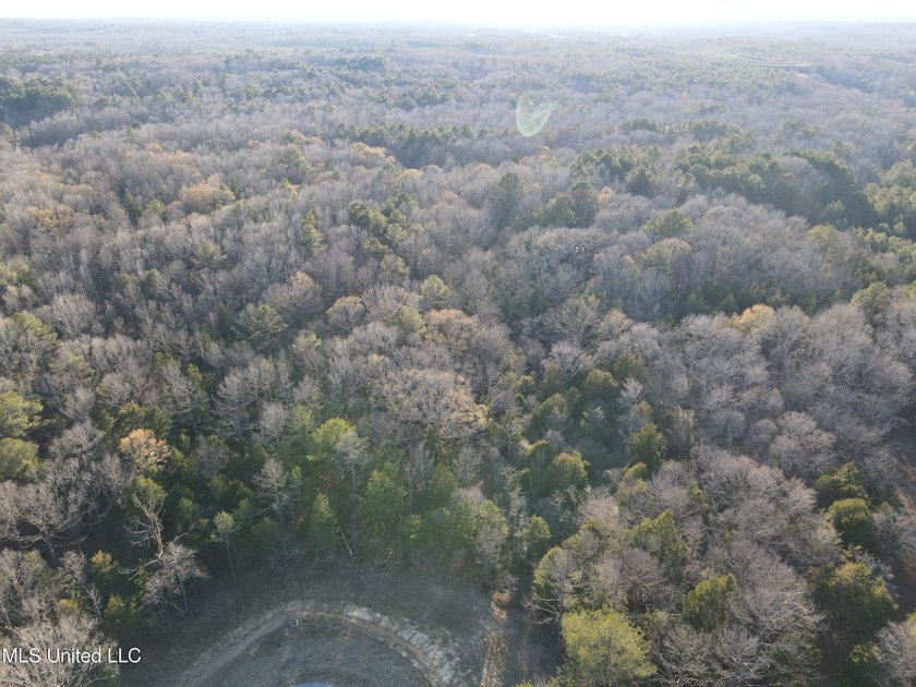Welcome to Springwood Trail, come experience this new lakefront - photo 39