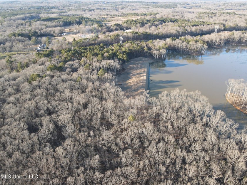 Welcome to Springwood Trail, come experience this new lakefront - photo 41