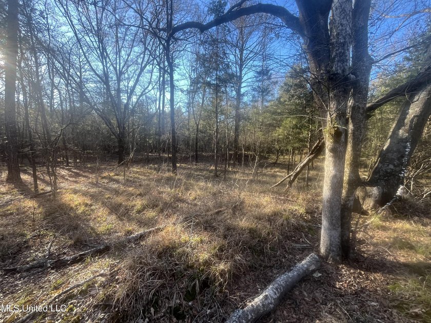 Welcome to Springwood Trail, come experience this new lakefront - photo 28